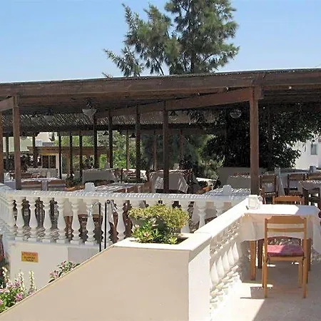 Bronze Bodrum
