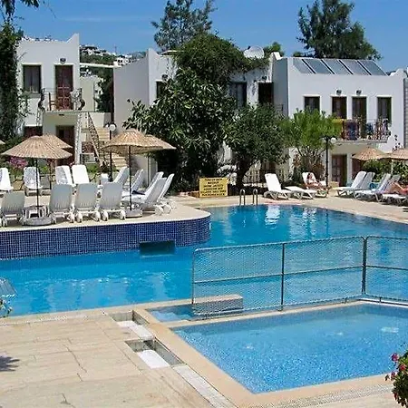 Bronze Bodrum