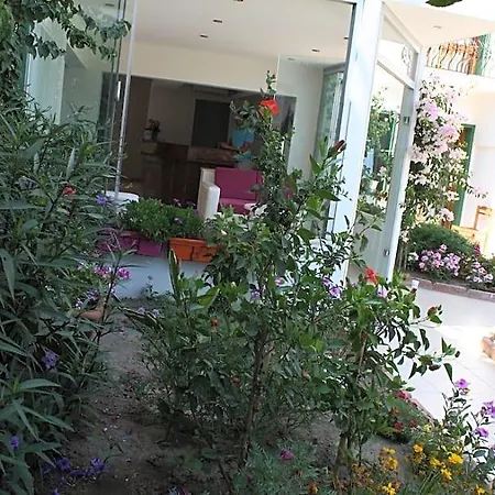 Hotel Bronze