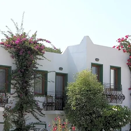 Hotel Bronze 3*